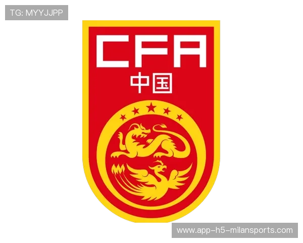 中国足球国家队与地区队伍协作模式分析，中国国家足球队的实力